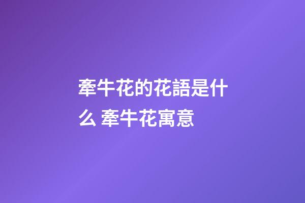 牽牛花的花語是什么 牽牛花寓意